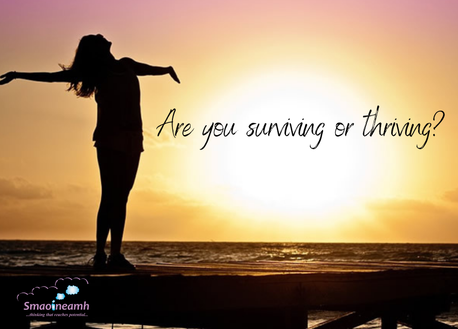 Are you surviving or thriving?